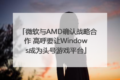 微软与AMD确认战略合作 高呼要让Windows成为头号游戏平台