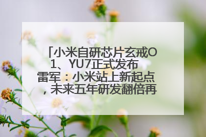 小米自研芯片玄戒O1、YU7正式发布 雷军：小米站上新起点，未来五年研发翻倍再投2000亿元