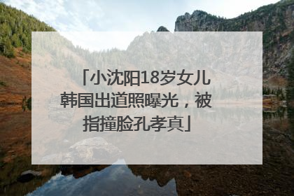 小沈阳18岁女儿韩国出道照曝光，被指撞脸孔孝真