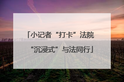 小记者“打卡”法院 “沉浸式”与法同行