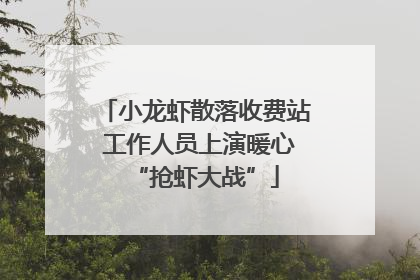 小龙虾散落收费站 工作人员上演暖心“抢虾大战”