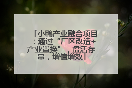 小鸭产业融合项目：通过“厂区改造+产业置换”，盘活存量，增值增效
