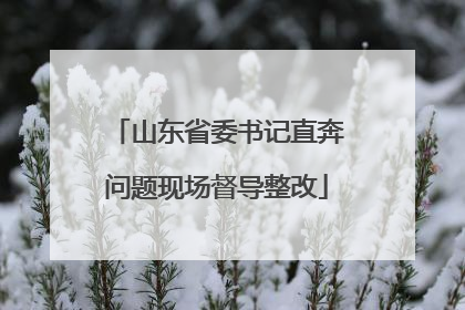 山东省委书记直奔问题现场督导整改