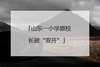 山东一小学原校长被“双开”