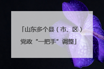 山东多个县（市、区）党政“一把手”调整