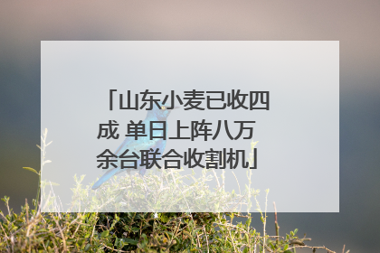 山东小麦已收四成 单日上阵八万余台联合收割机