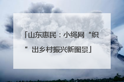 山东惠民：小绳网“织”出乡村振兴新图景
