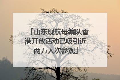 山东舰航母编队香港开放活动已吸引近两万人次参观