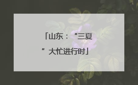 山东：“三夏”大忙进行时
