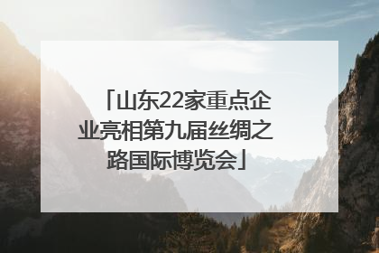 山东22家重点企业亮相第九届丝绸之路国际博览会