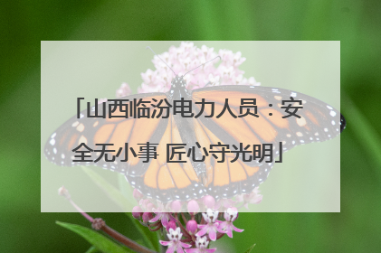 山西临汾电力人员：安全无小事 匠心守光明
