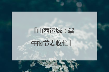 山西运城：端午时节麦收忙