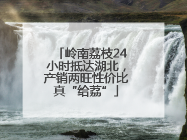 岭南荔枝24小时抵达湖北，产销两旺性价比真“给荔”