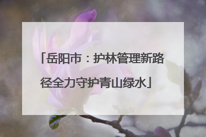 岳阳市：护林管理新路径全力守护青山绿水