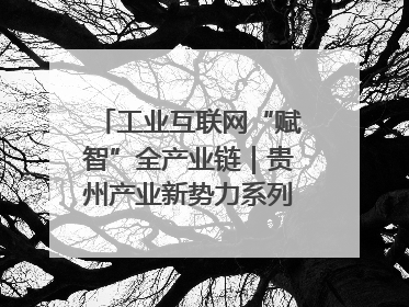 工业互联网“赋智”全产业链｜贵州产业新势力系列报道之八