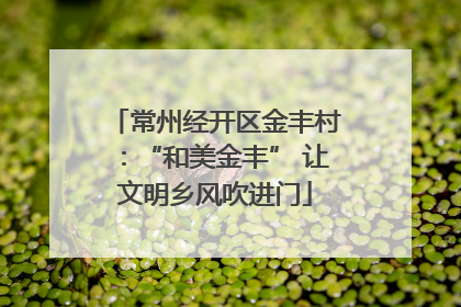 常州经开区金丰村：“和美金丰” 让文明乡风吹进门