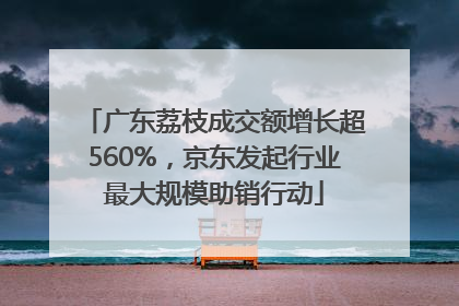 广东荔枝成交额增长超560%，京东发起行业最大规模助销行动