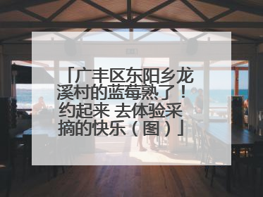 广丰区东阳乡龙溪村的蓝莓熟了！约起来 去体验采摘的快乐（图）