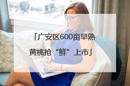 广安区600亩早熟黄桃抢“鲜”上市
