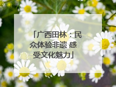 广西田林：民众体验非遗 感受文化魅力
