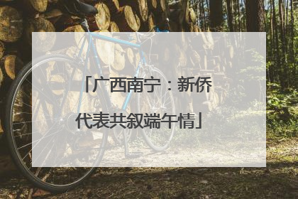 广西南宁：新侨代表共叙端午情