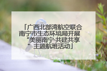 广西北部湾航空联合南宁市生态环境局开展“美丽南宁·共建共享”主题航班活动