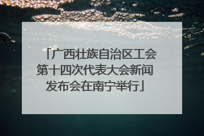 广西壮族自治区工会第十四次代表大会新闻发布会在南宁举行