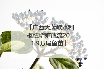 广西大藤峡水利枢纽增殖放流201.9万尾鱼苗