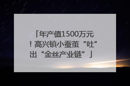 年产值1500万元！高兴镇小蚕茧“吐”出“金丝产业链”