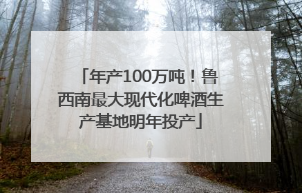 年产100万吨！鲁西南最大现代化啤酒生产基地明年投产