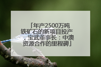 年产2500万吨铁矿石的新项目投产，宝武董事长：中澳资源合作的里程碑