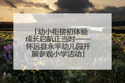 幼小衔接初体验 成长启航正当时——怀远县永平幼儿园开展参观小学活动