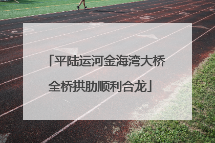平陆运河金海湾大桥全桥拱肋顺利合龙