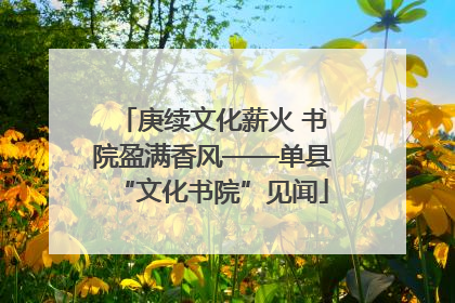庚续文化薪火 书院盈满香风——单县“文化书院”见闻