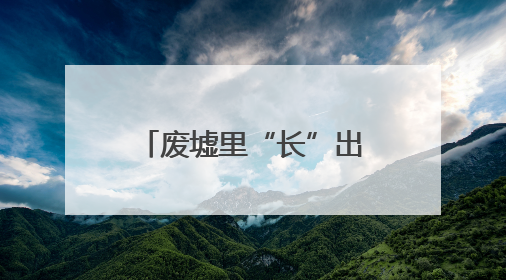 废墟里“长”出艺术展，温州首个“自然生态综合体示范片”启幕