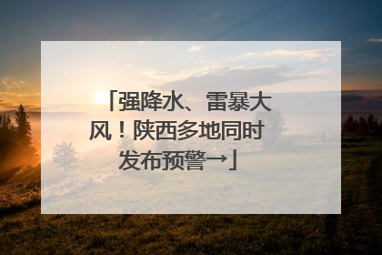 强降水、雷暴大风！陕西多地同时发布预警→