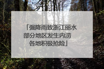 强降雨致浙江丽水部分地区发生内涝 各地积极抢险