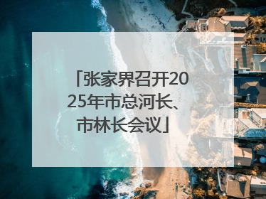 张家界召开2025年市总河长、市林长会议