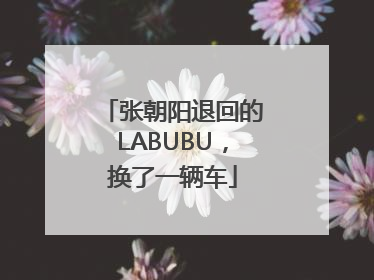 张朝阳退回的LABUBU，换了一辆车