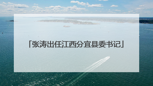 张涛出任江西分宜县委书记