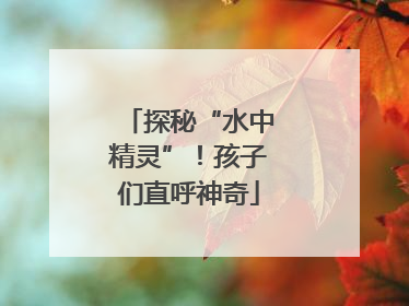 探秘“水中精灵”！孩子们直呼神奇