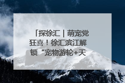 探徐汇｜萌宠党狂喜！徐汇滨江解锁“宠物游轮+天台乐园”双玩法
