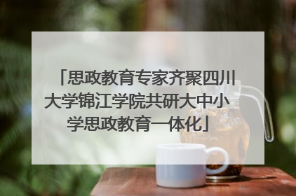 思政教育专家齐聚四川大学锦江学院共研大中小学思政教育一体化