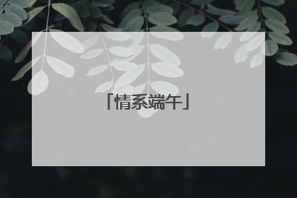 情系端午