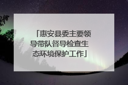 惠安县委主要领导带队督导检查生态环境保护工作