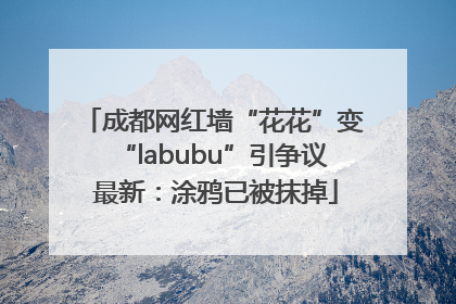 成都网红墙“花花”变“labubu”引争议 最新：涂鸦已被抹掉