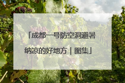 成都一号防空洞避暑纳凉的好地方｜图集