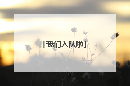 我们入队啦