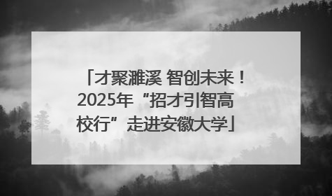 才聚濉溪 智创未来！2025年“招才引智高校行”走进安徽大学