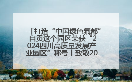 打造“中国绿色氟都” 自贡这个园区荣获“2024四川高质量发展产业园区”称号丨致敬2024经济影响力人物